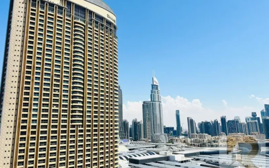 Fully Furnished 1BR Apartment for Rent in Downtown